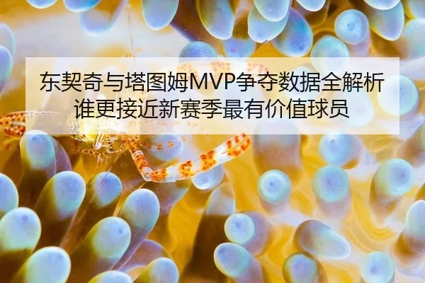 东契奇与塔图姆MVP争夺数据全解析 谁更接近新赛季最有价值球员