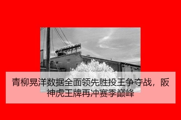 青柳晃洋数据全面领先胜投王争夺战，阪神虎王牌再冲赛季巅峰
