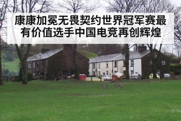康康加冕无畏契约世界冠军赛最有价值选手中国电竞再创辉煌